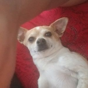 Meet your Posher, Tana